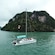 A catamaran cruising on the water near a large, forested cliff